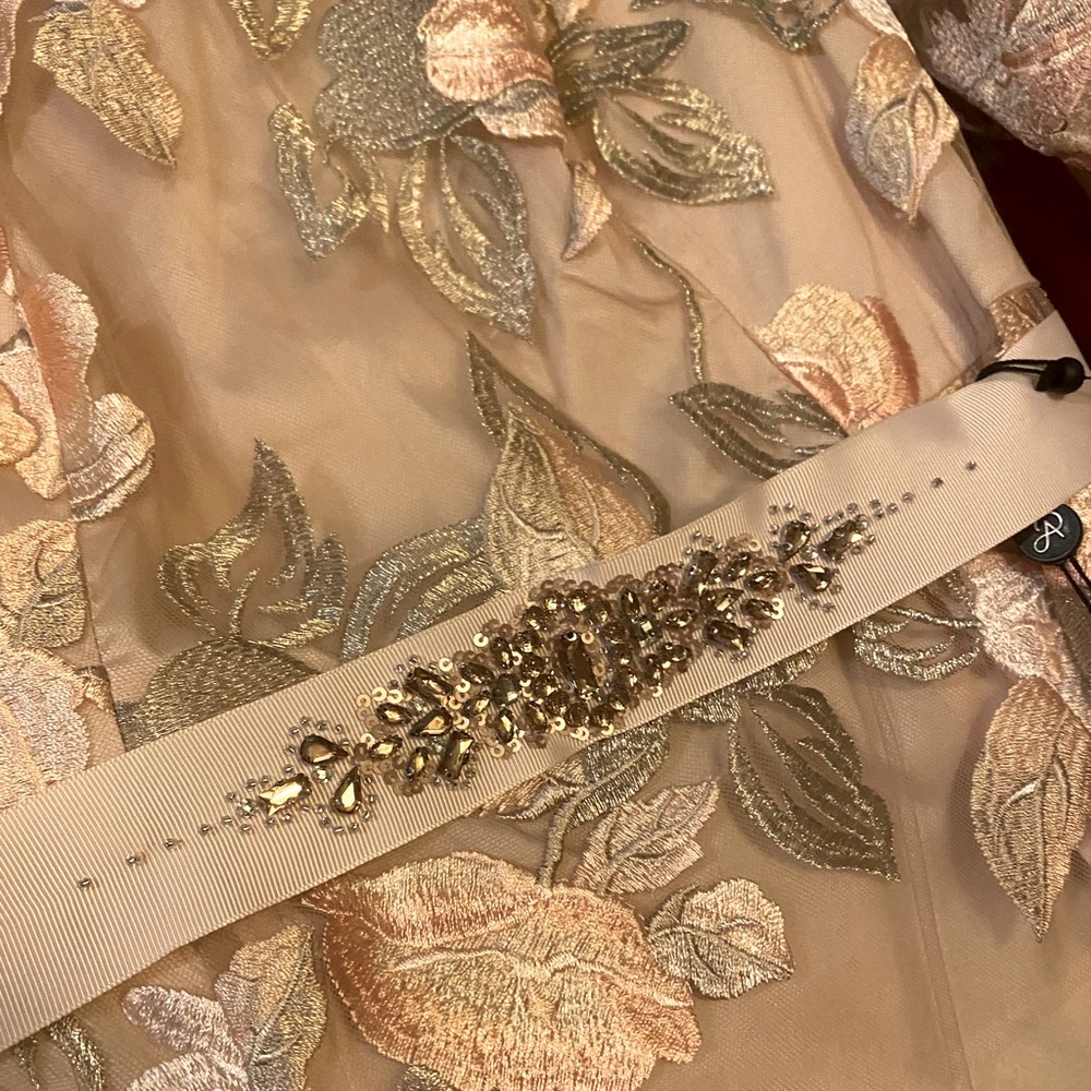 AdriannaPapell pale peach multi taffeta long dress